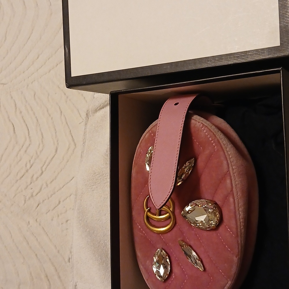 Authentic Gucci Belt Bag - Picture 2 of 8